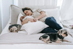 Hond of kat in bed, verstandig?