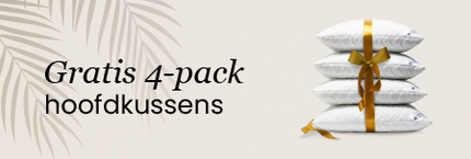 black friday zomereditie 4 pack hoofdkussens
