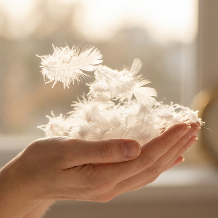 Dekbed 3D Air Deluxe Dons - 4 Seizoenen