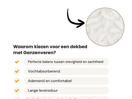 Dekbed Dons - 80% Ganzenveren - All Season