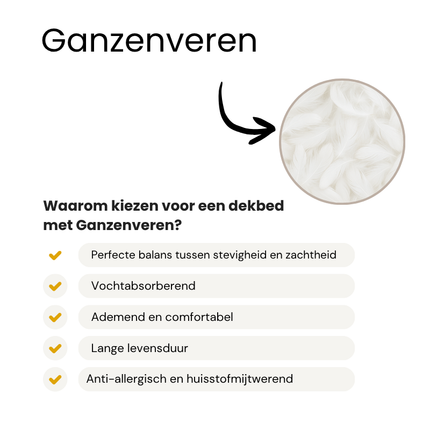 Dekbed Dons - 80% Ganzenveren - 4 Seizoenen