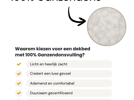 Dekbed 4 Seizoenen & 2 Hoofdkussens - 100% Ganzendons Bundel