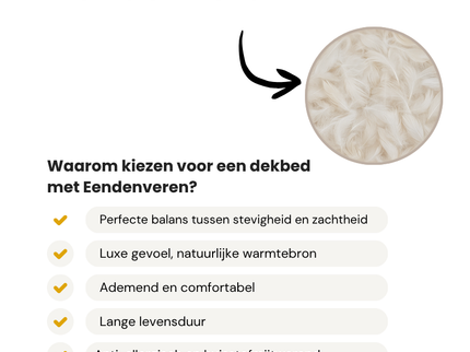 Dekbed - 100% Eendenveren - 4 Seizoenen