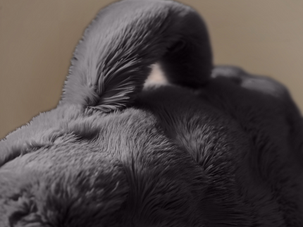 Kussen Bedsteun Pompom - Antraciet