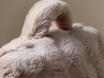 Kussen Bedsteun Pompom - Taupe