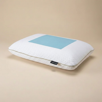 Collection image for: Anti-allergie Kussen