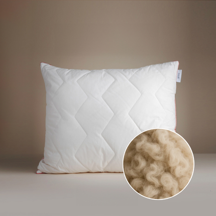 Collection image for: Wollen Hoofdkussen