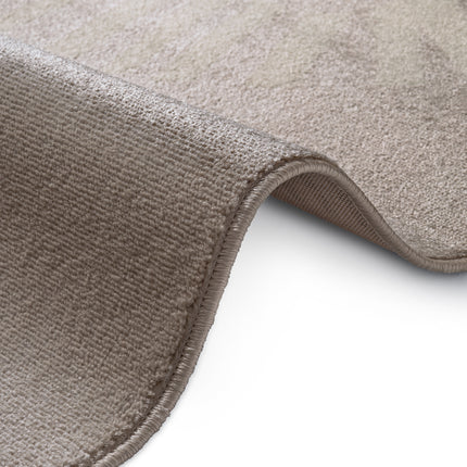 Vloerkleed Happy Lion Rechthoekig - Beige, creme