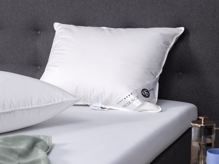 Dekbed 4 Seizoenen & 2 Hoofdkussens - 100% Ganzendons Bundel