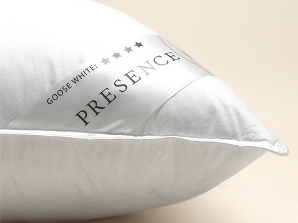Presence Hoofdkussen Dons - 85% ganzenveren