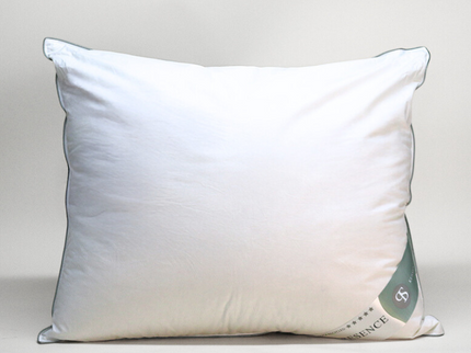 Presence Hoofdkussen Gerecycled Dons - 50% Eendendons