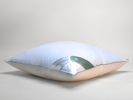 Presence Hoofdkussen Gerecycled Dons - 50% Eendendons