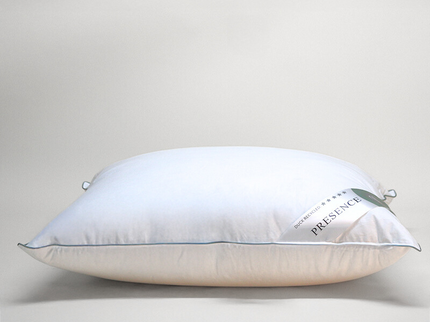 Presence Hoofdkussen Gerecycled Dons - 50% Eendendons