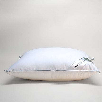 Presence Hoofdkussen Gerecycled Dons - 50% Eendendons