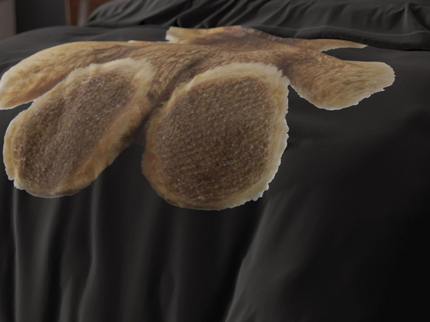 Sleeptime Essentials Dekbedovertrek  Brave Teddy
