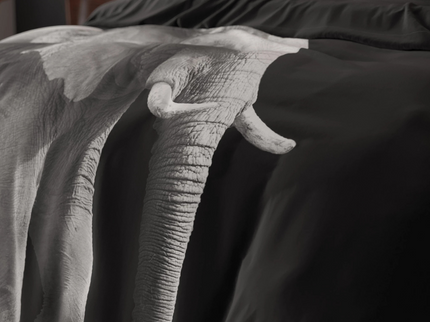 Sleeptime Essentials Dekbedovertrek  Elephant